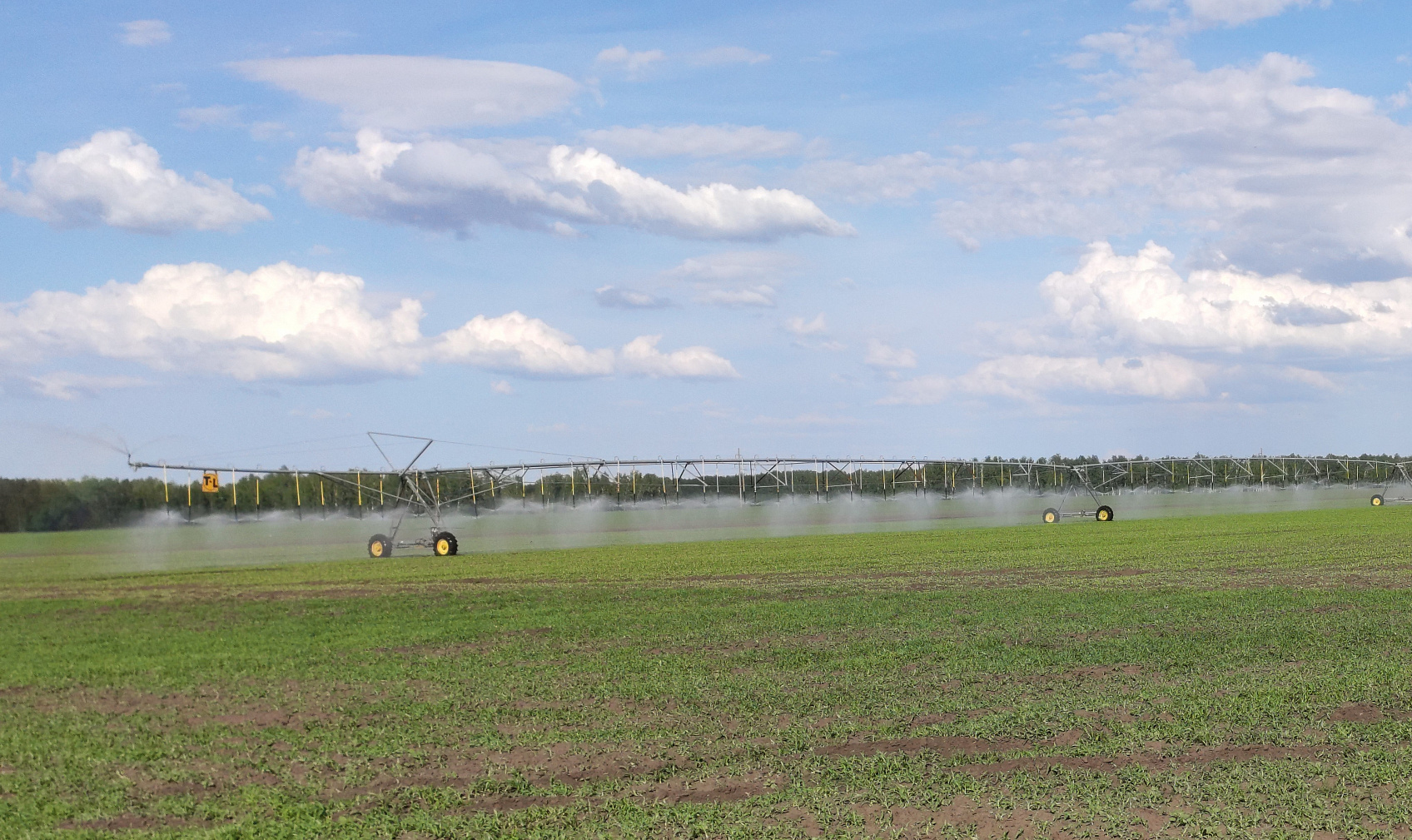 Мелиорация стандарт